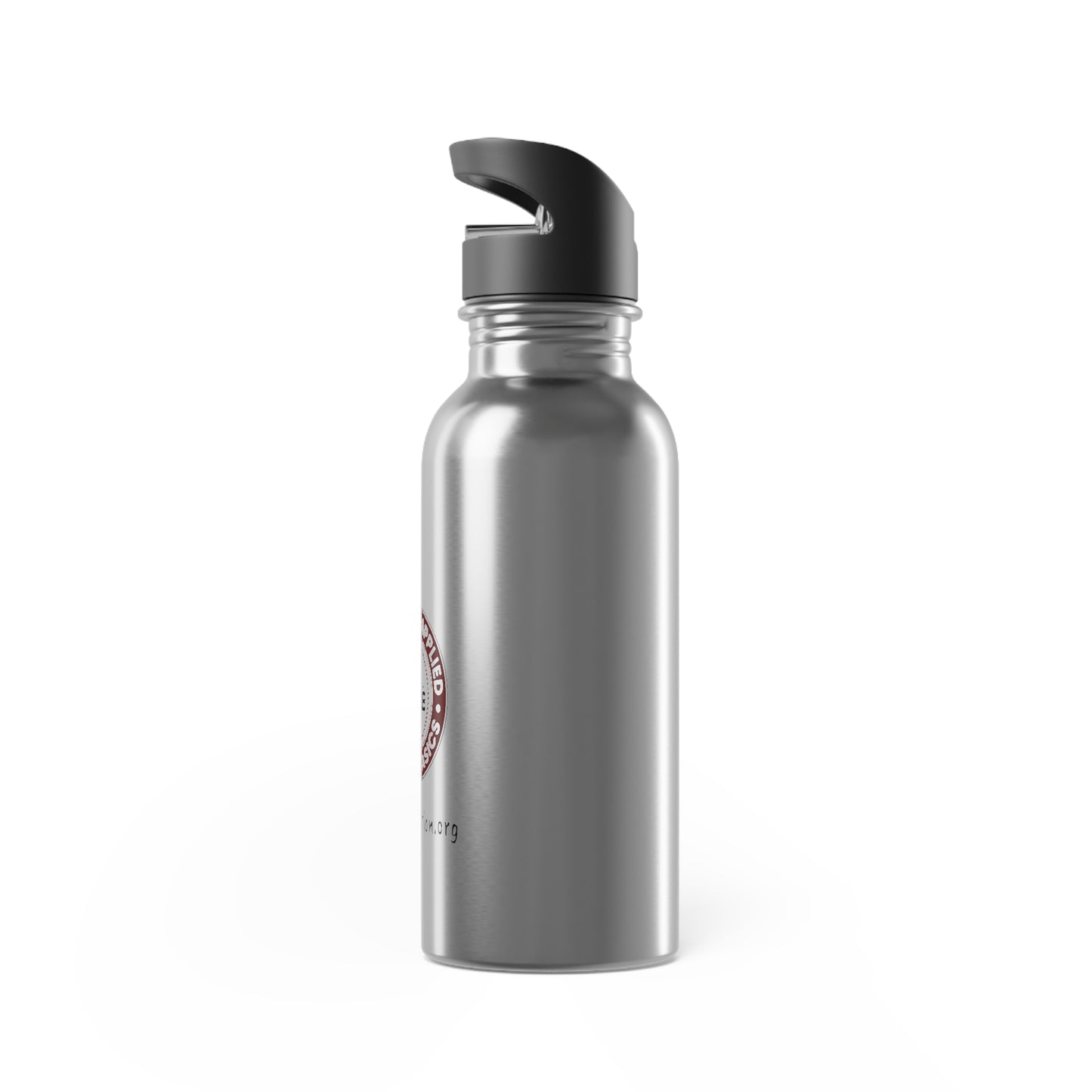 Stainless Steel Water Bottle With Straw, 20oz